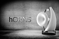 hORNS